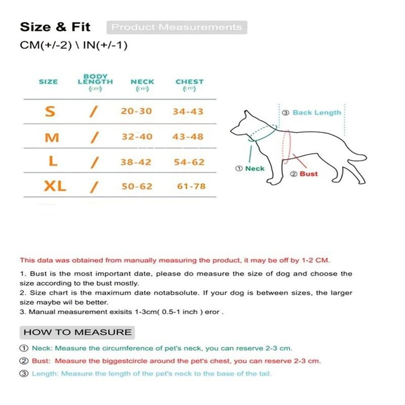 Cowboy Rider Pet Costume