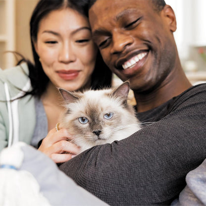 Proactive Health Adult Hairball Care Dry Cat Food with Chicken and Salmon, 3.5 Lb. Bag