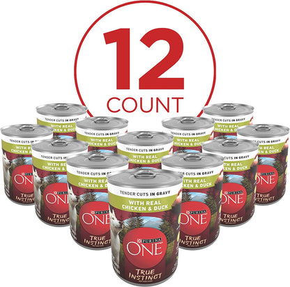 Purina ONE High Protein Wet Dog Food Can