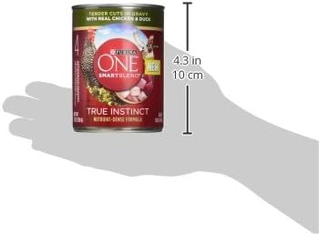 Purina ONE High Protein Wet Dog Food Can