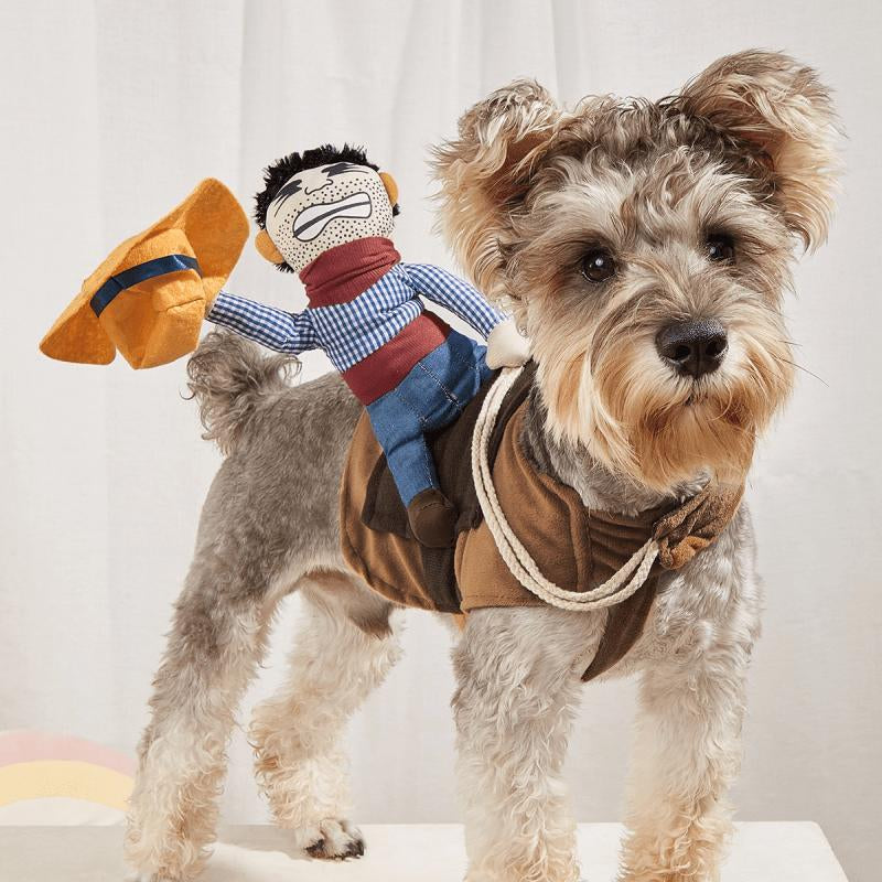 Cowboy Rider Pet Costume 