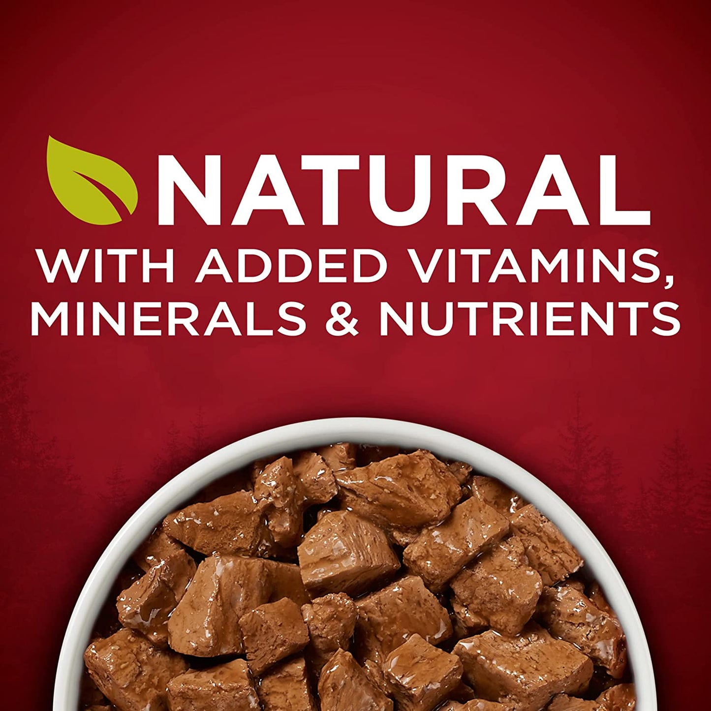 Purina ONE High Protein Wet Dog Food Can