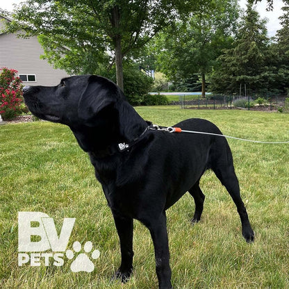 Yard Freedom 25 Runner