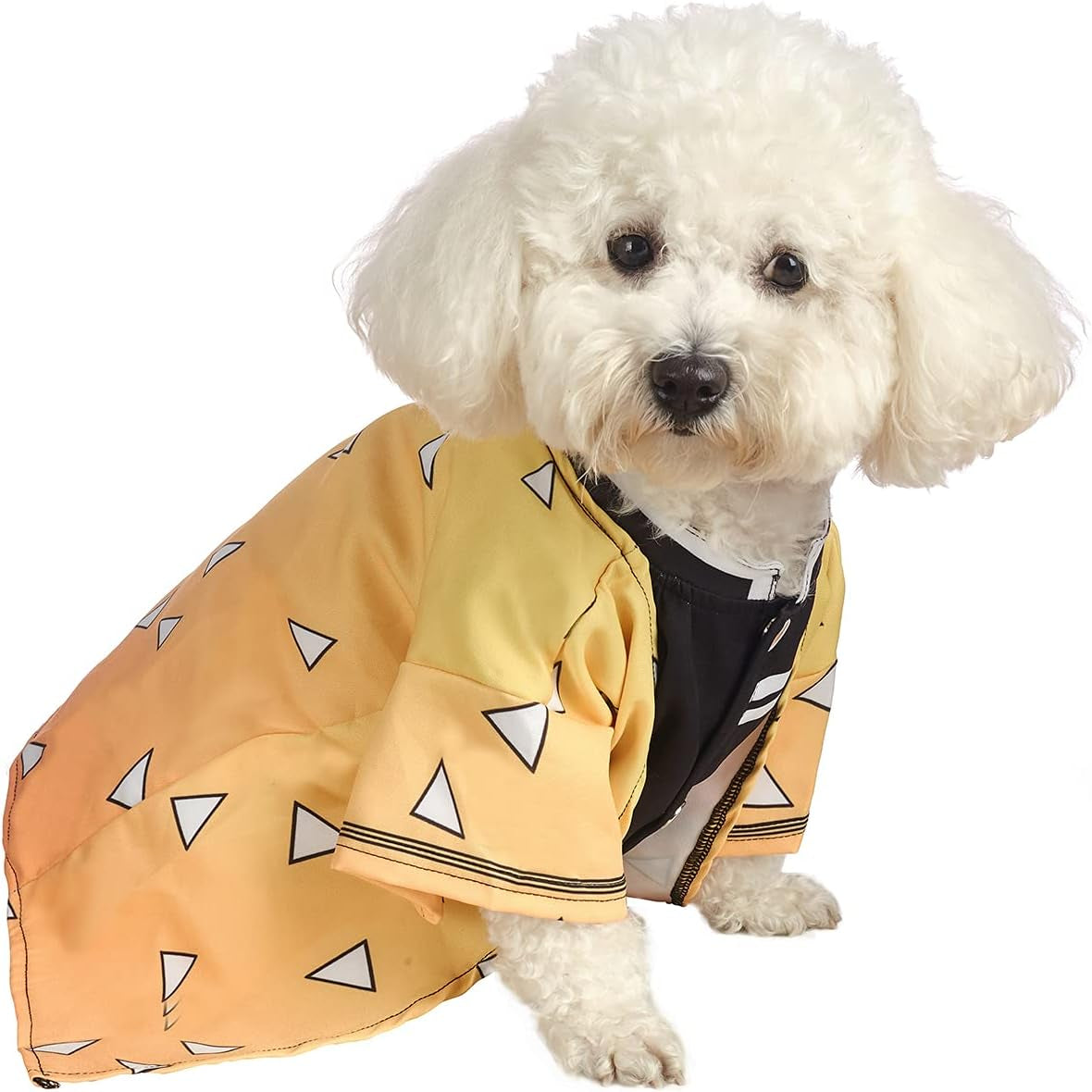 Funny Halloween Pet Costume for Cats & Small Dogs