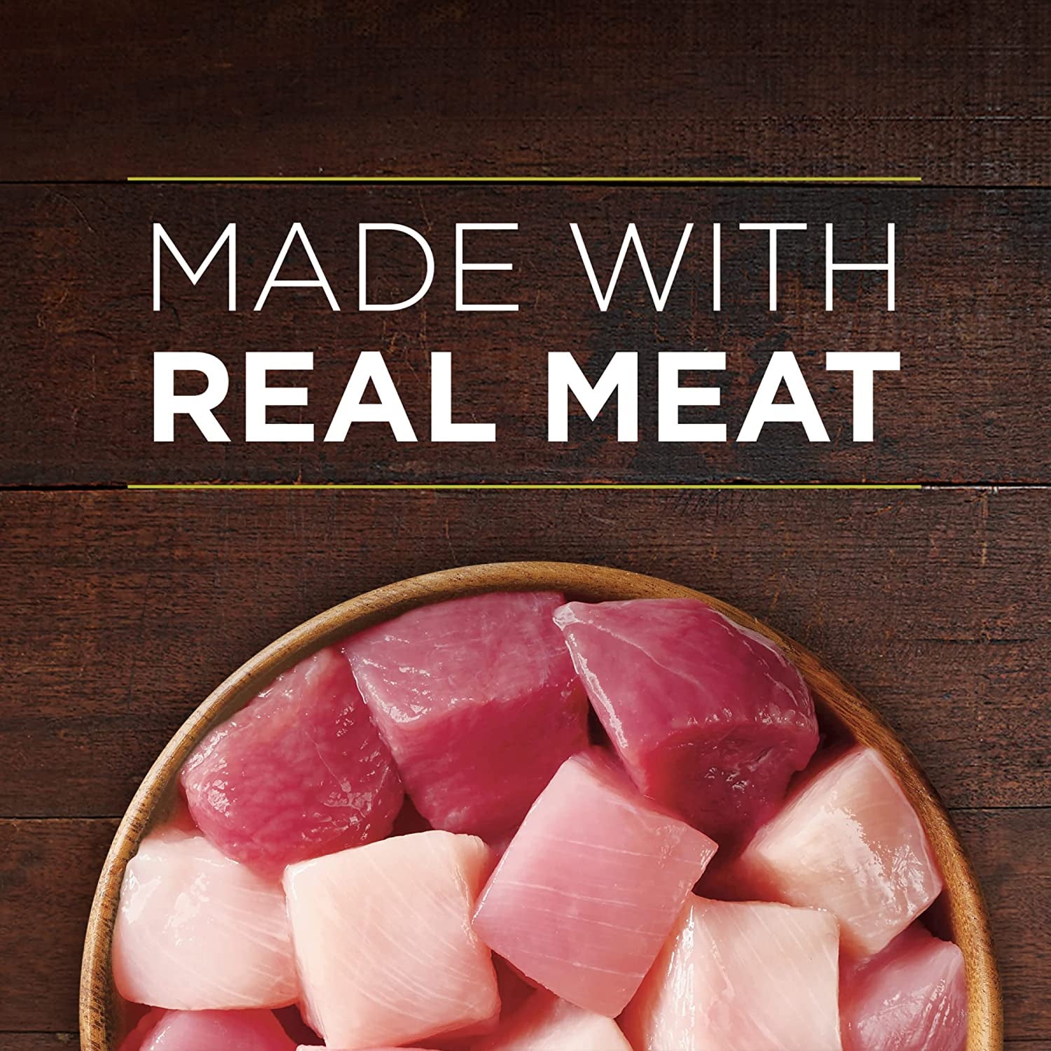 Purina ONE High Protein Wet Dog Food Can