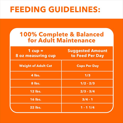 Proactive Health Adult Hairball Care Dry Cat Food with Chicken and Salmon, 3.5 Lb. Bag