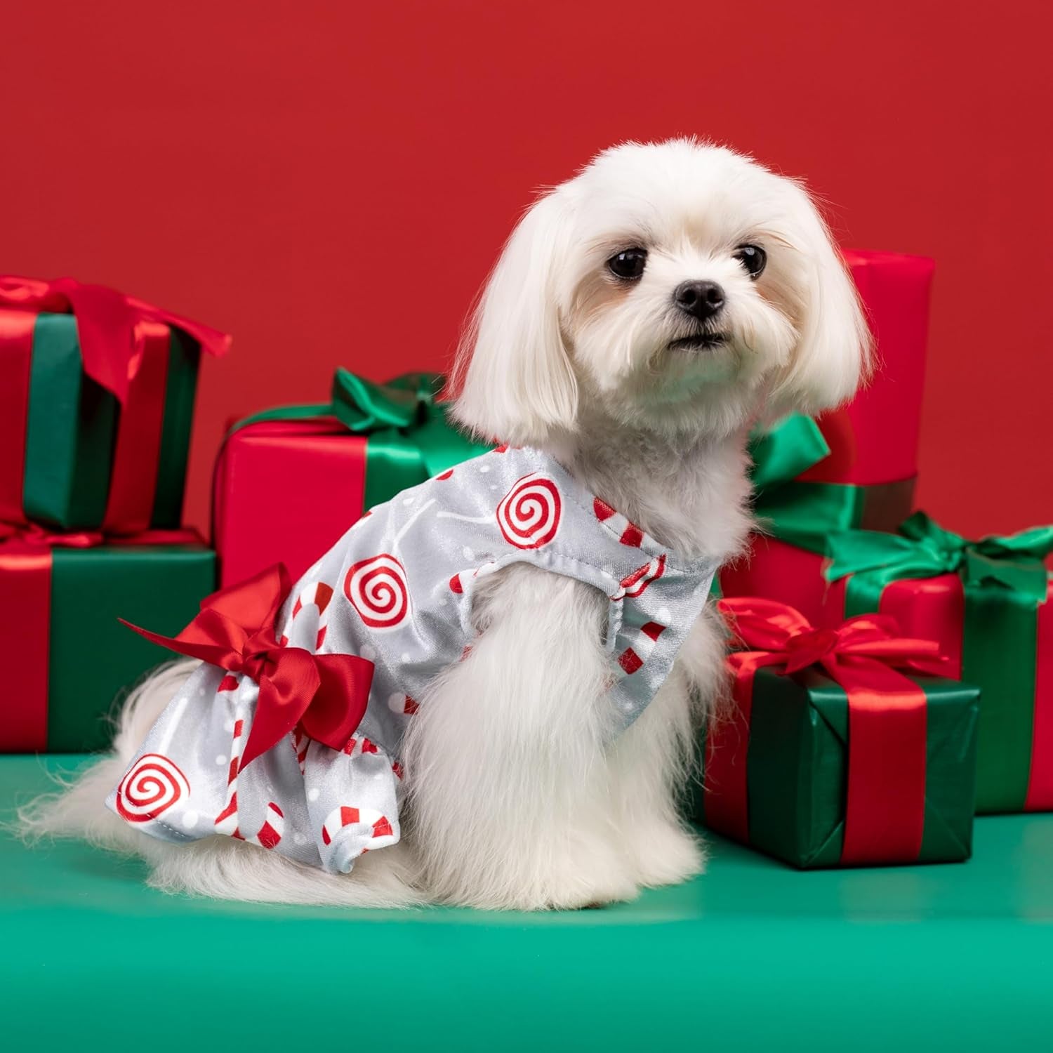 Christmas Candy Canes Dog Dress for Small Dogs Pet Apparel, Silver, Red, White, Medium