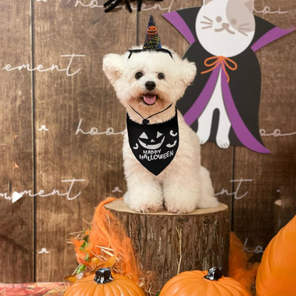 Glow-in-the-Dark Spook Set