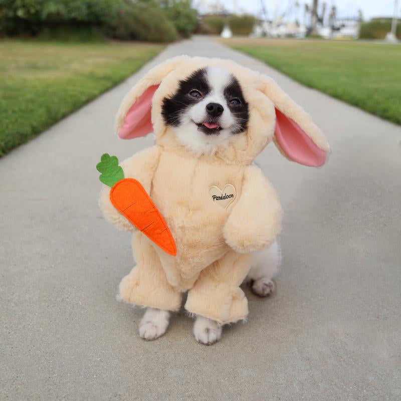 Hoppy Walker(Bunny)