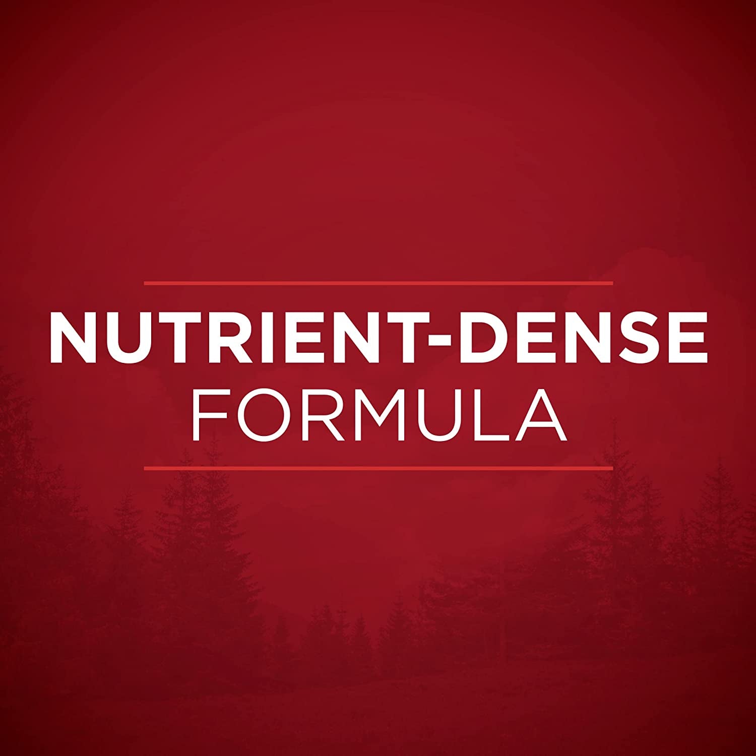 Purina ONE High Protein Wet Dog Food Can