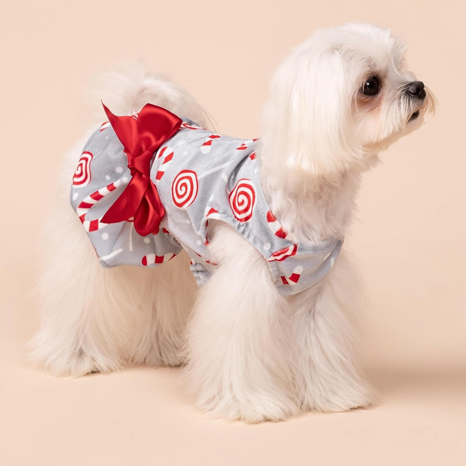 Christmas Candy Canes Dog Dress for Small Dogs Pet Apparel, Silver, Red, White, Medium