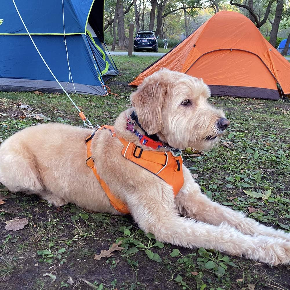 Yard Freedom 25 Runner