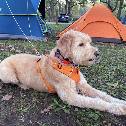 Yard Freedom 25 Runner