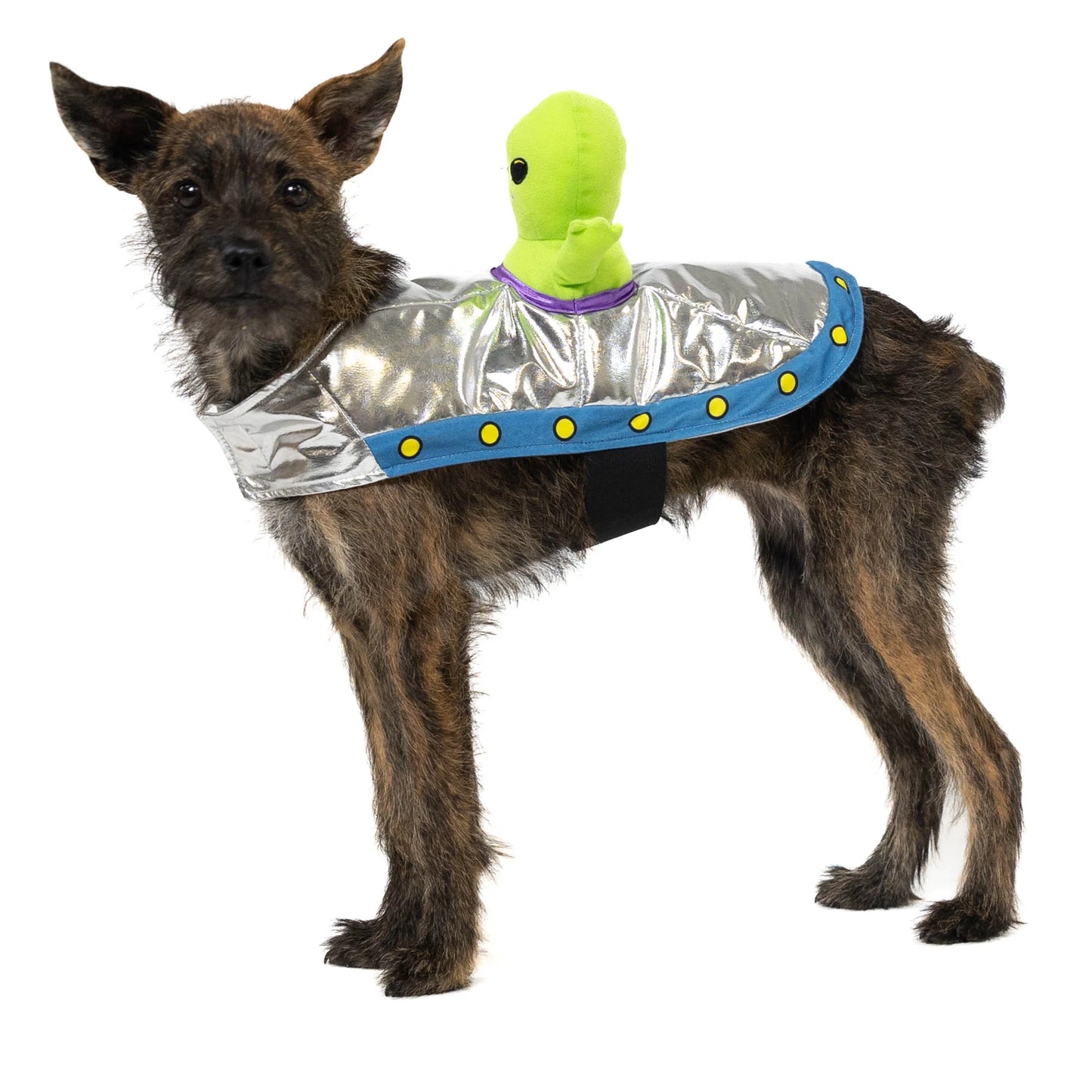 Alien Spaceship Pet Costume for Dogs & Cats