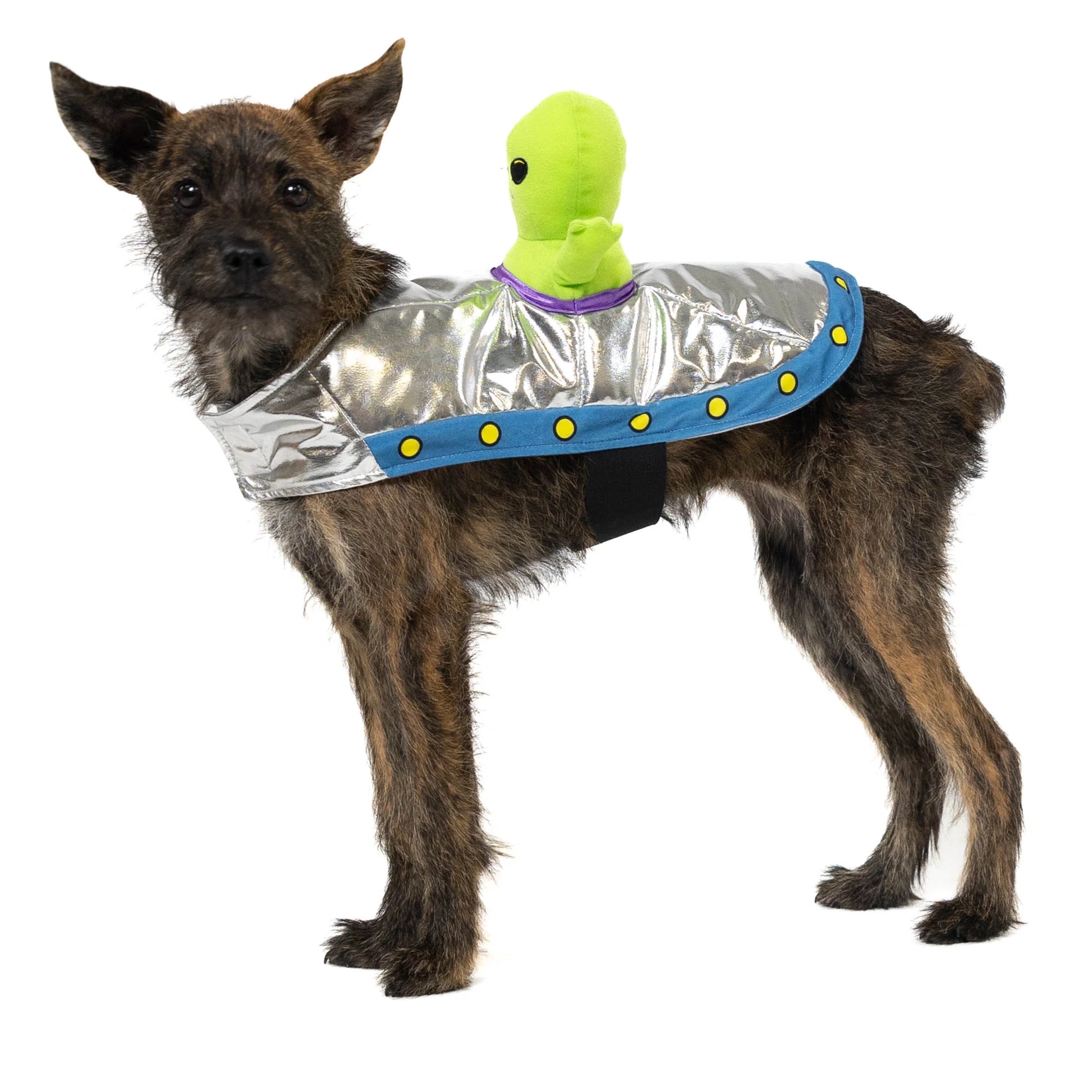 Alien Spaceship Pet Costume for Dogs & Cats