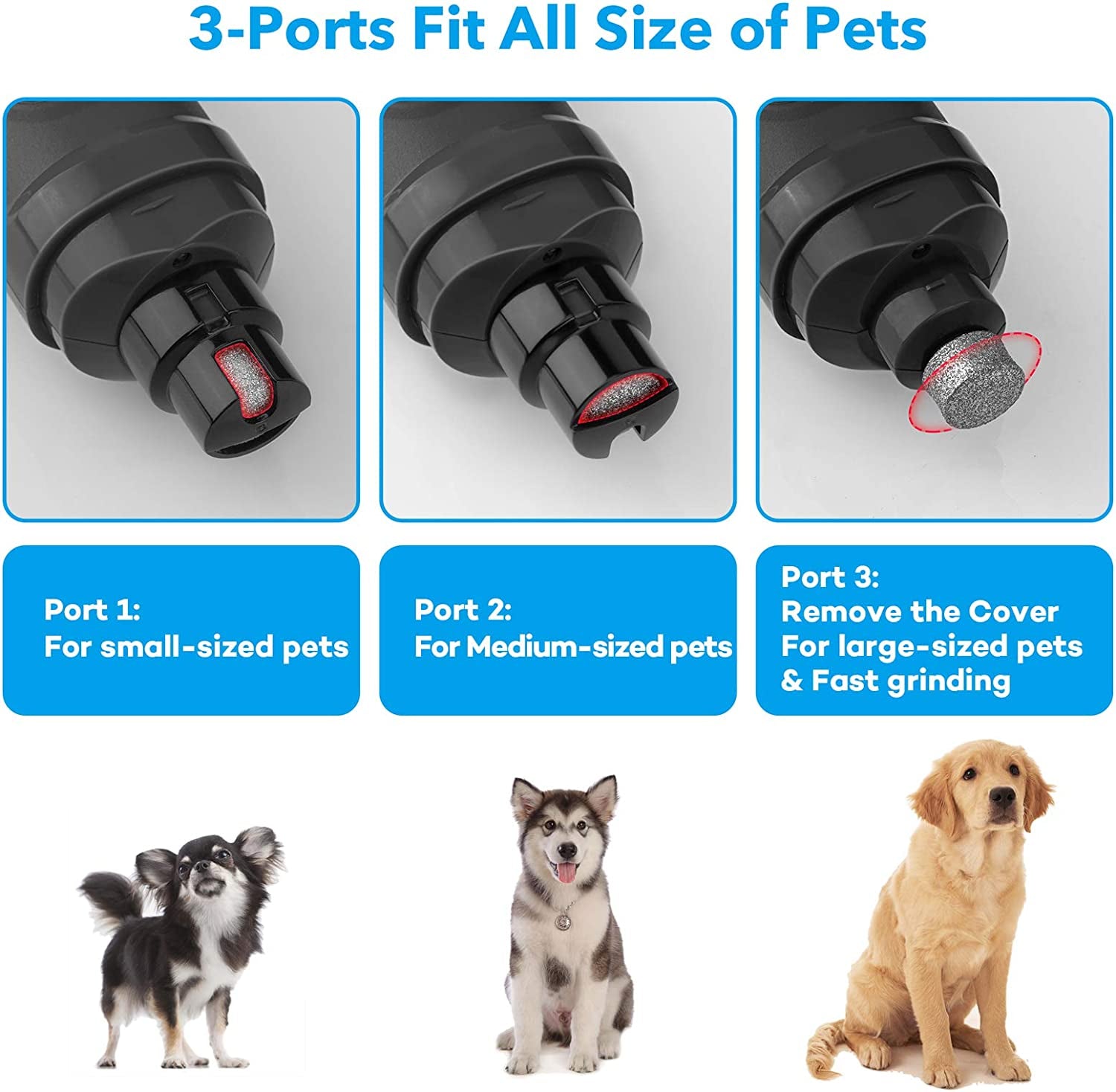 Whisper-Quiet Pet Nail Grinder | Dual LED Light for Pinpoint Accuracy & No Pain