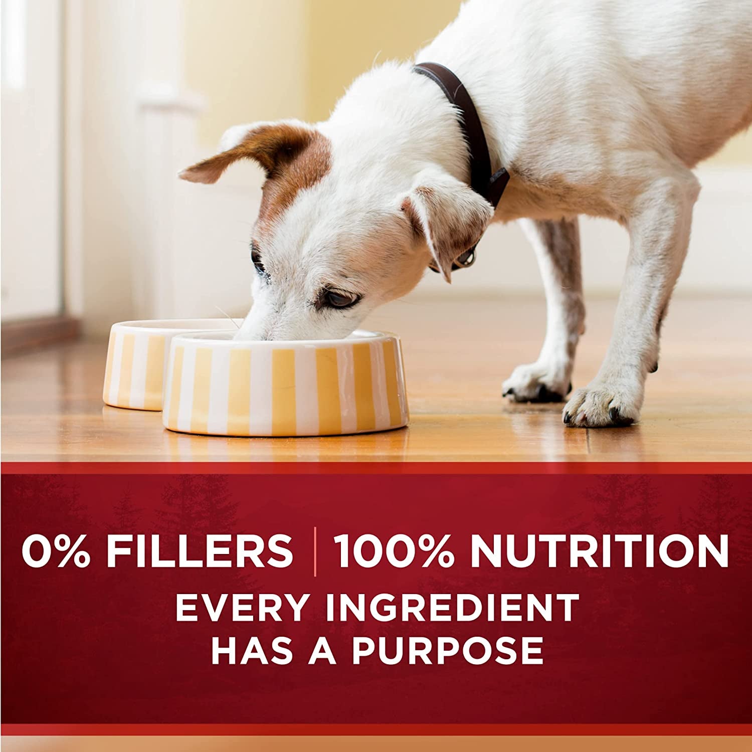 Purina ONE High Protein Wet Dog Food Can