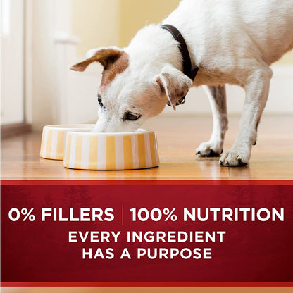 Purina ONE High Protein Wet Dog Food Can