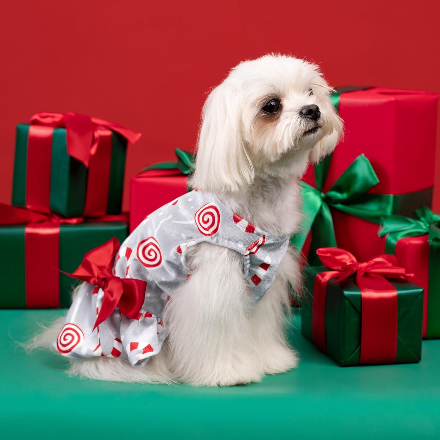 Christmas Candy Canes Dog Dress for Small Dogs Pet Apparel, Silver, Red, White, Medium