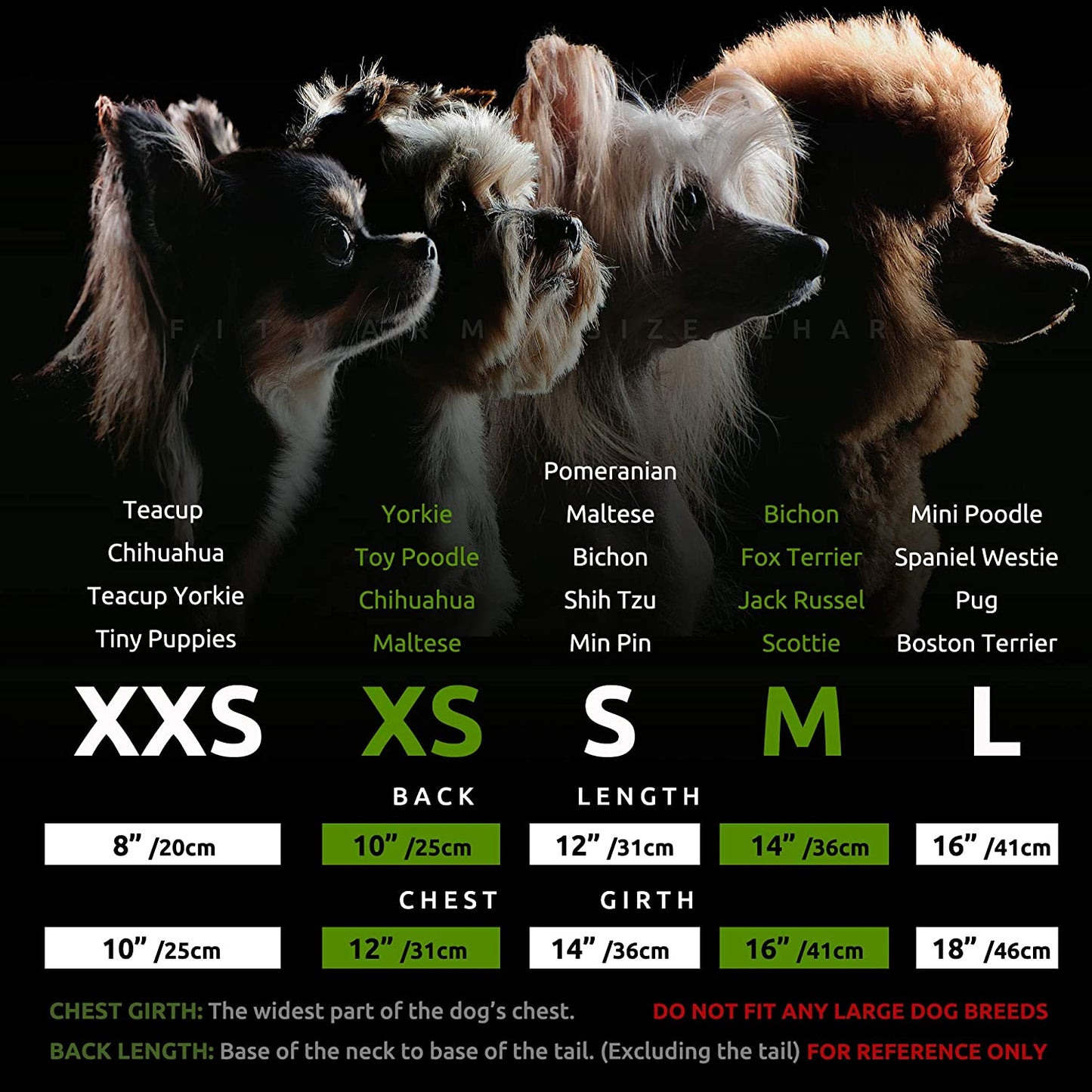 Christmas Candy Canes Dog Dress for Small Dogs Pet Apparel, Silver, Red, White, Medium