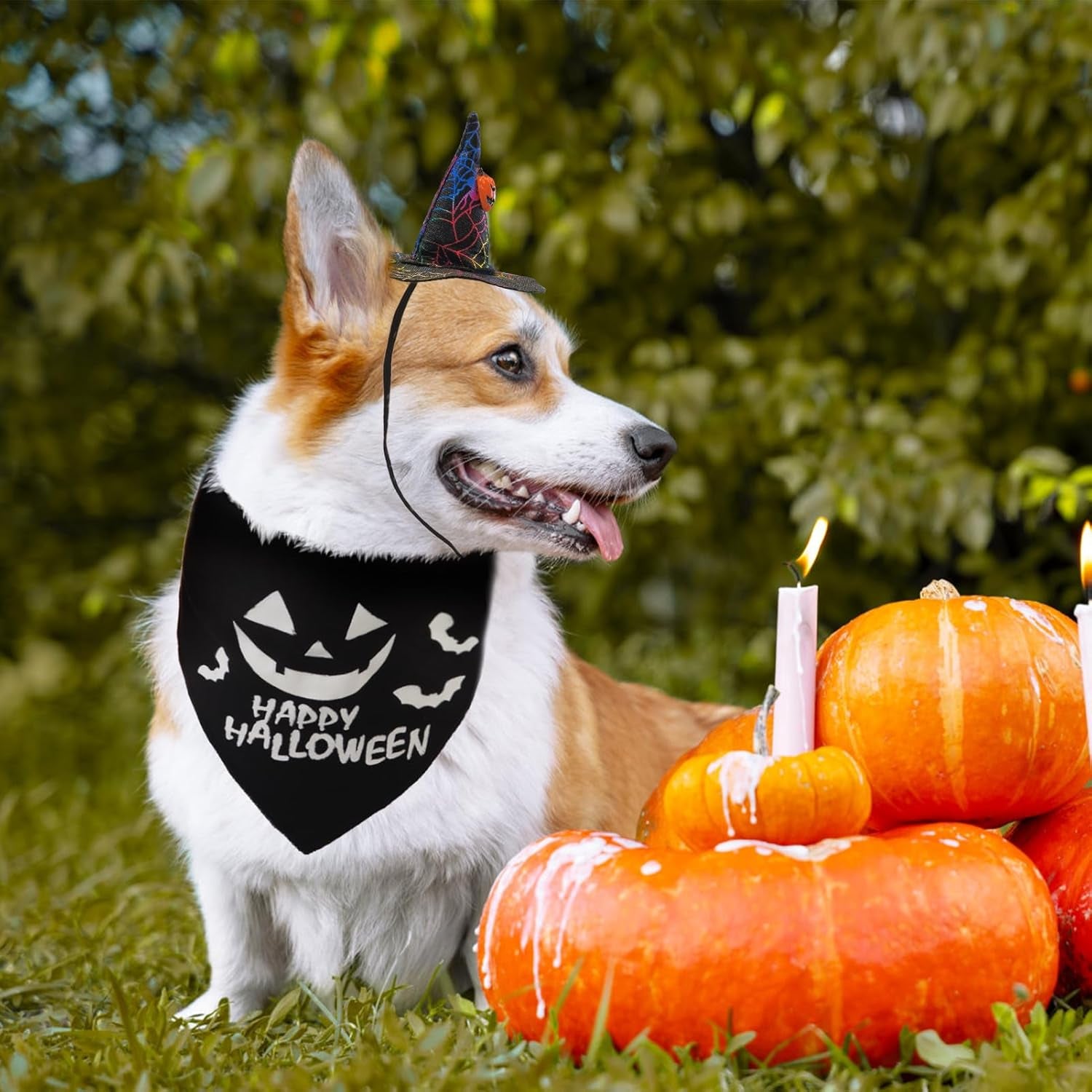 Glow-in-the-Dark Spook Set