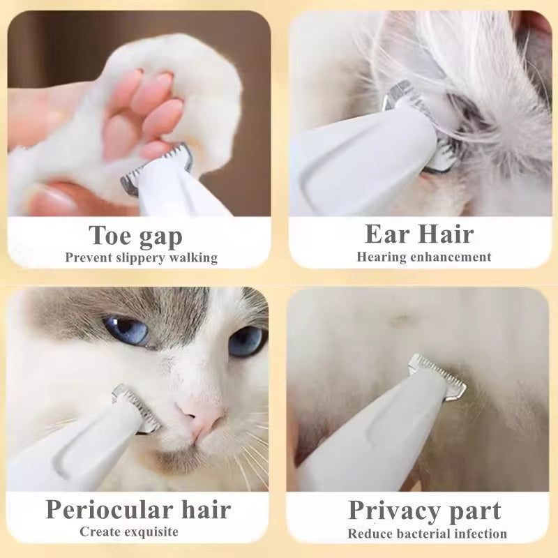 LED-Clarity Detailer