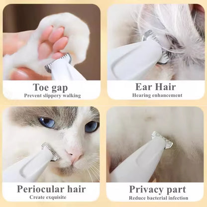 LED-Clarity Detailer