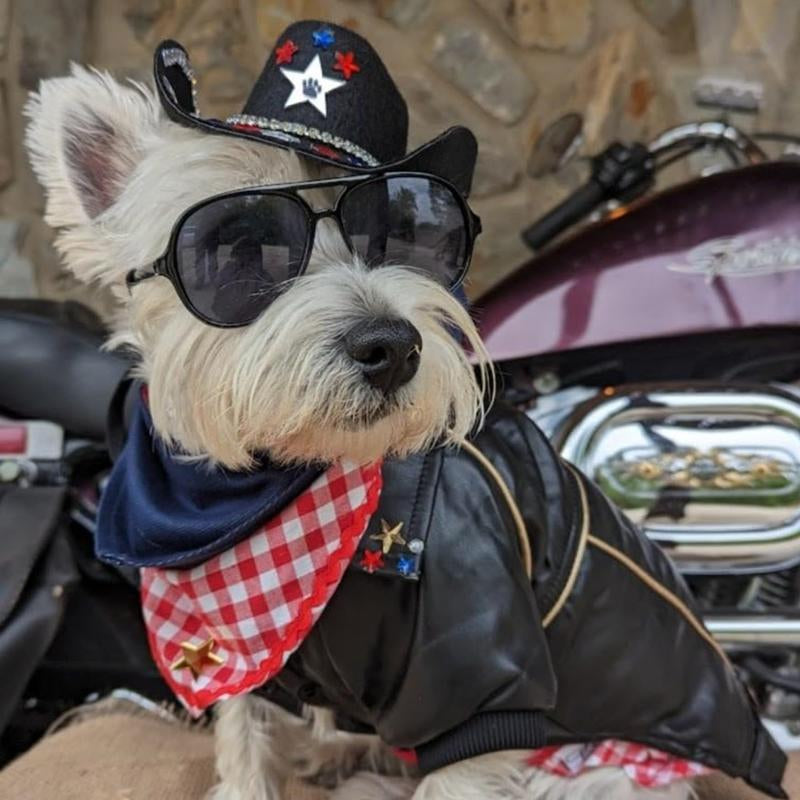 Dog Leather Jacket - Cute Leather Dog Jackets Motorcycle Clothes with Buttons Pet Waterproof Winter Coat for Small Medium Dogs