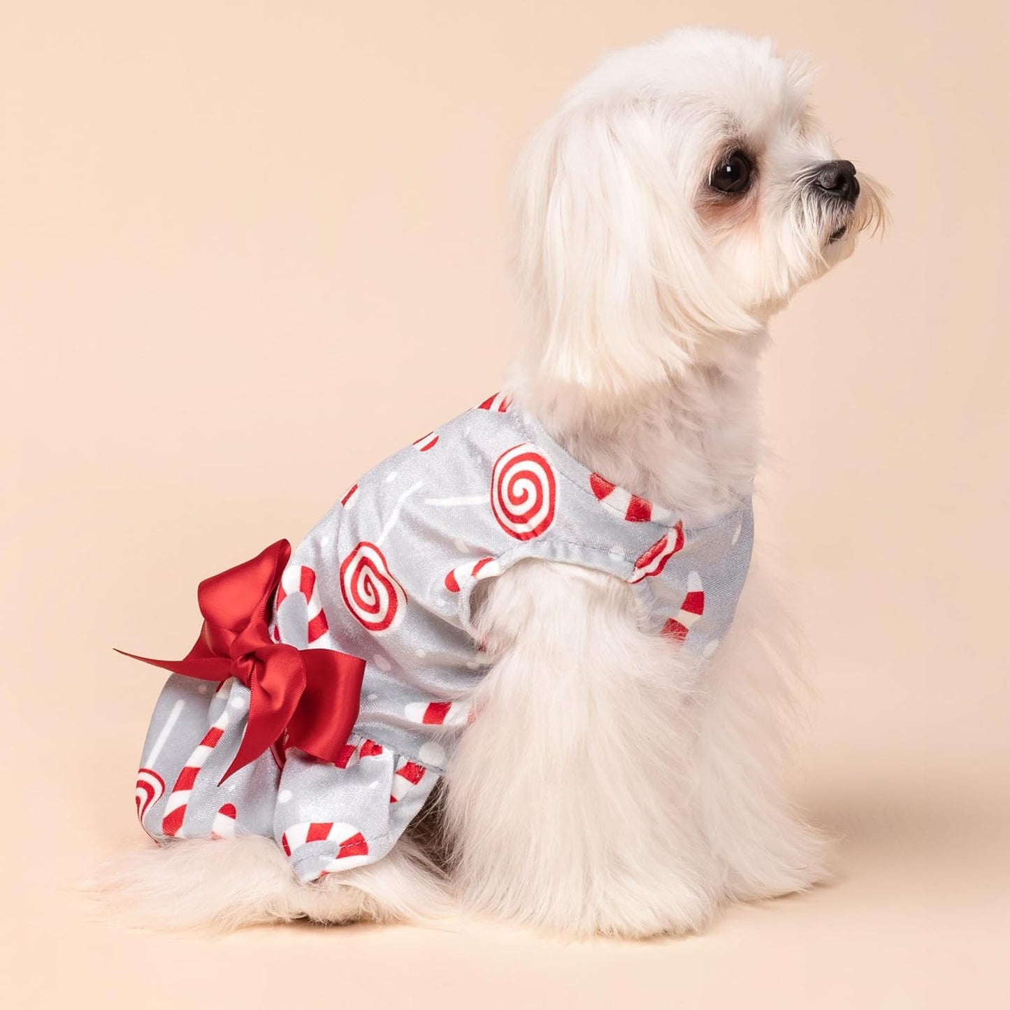 Christmas Candy Canes Dog Dress for Small Dogs Pet Apparel, Silver, Red, White, Medium